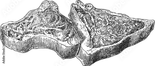 hand drawn illustration of two triangular sandwiches with detailed texture and layers