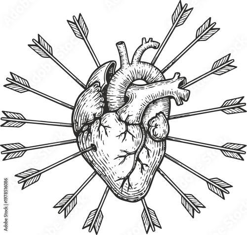 anatomical heart pierced by multiple arrows vintage black and white medical illustration with symbolic impact and emotional depth