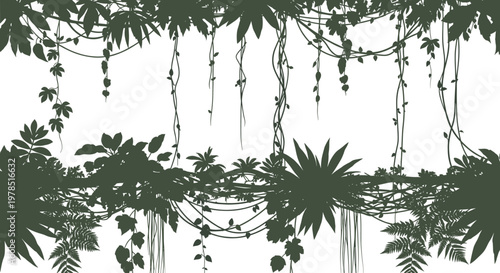 Tropical jungle vines and hanging liana plants silhouette on white background