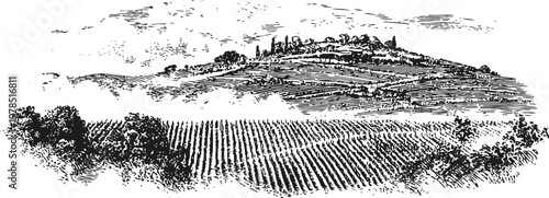 Vintage countryside landscape with vineyard rows and hilltop village in black ink sketch