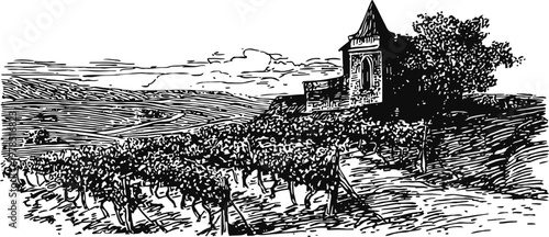 Rustic vineyard landscape with old stone chapel on a hill, countryside agricultural scene