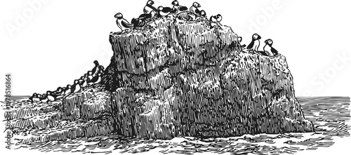 Seabird colony resting on rocky cliff surrounded by ocean water, detailed black and white engraving