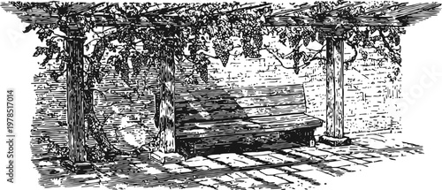 shaded garden bench under vine covered pergola casting dappled shadows on stone patio