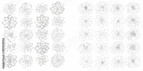 Arrangement of sketched succulent plants in a grid pattern