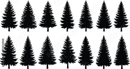 Set of black pine tree silhouettes and evergreen spruce icons isolated on white background for winter forest nature landscape and Christmas holiday designs.