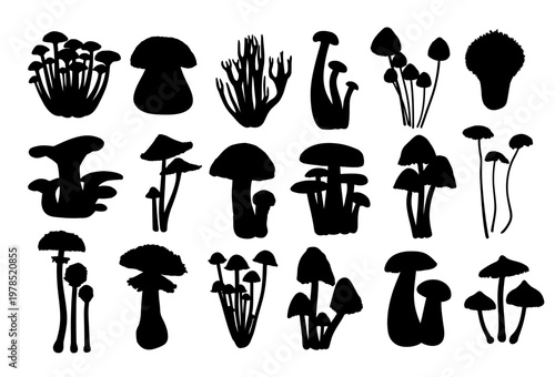 A set of silhouettes of forest mushrooms.
