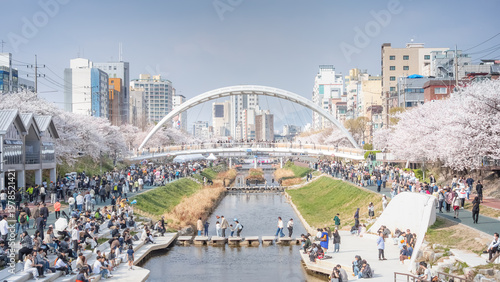 Cherry Blossom Festival at Bulkwangcheon Stream with Arch Bridge in Seoul, South Korea