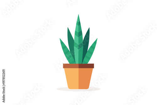 Snake plant in a pot vector illustration, sansevieria trifasciata, flat design, houseplant