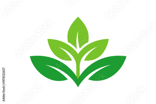 Stylized green leaves sprout upward on transparent background