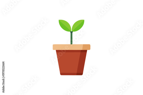 Young plant in brown pot with two green leaves on transparent background