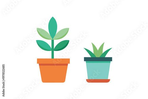 Two decorative green plants in orange and blue pots vector graphic for home interior design