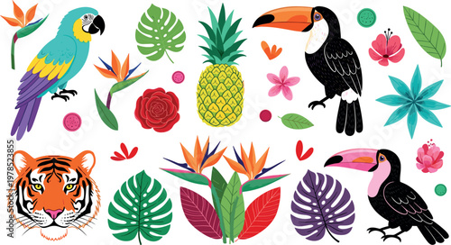 Tropical vector set with parrot, toucan, tiger and exotic flowers, colorful jungle elements collection for nature themed design projects