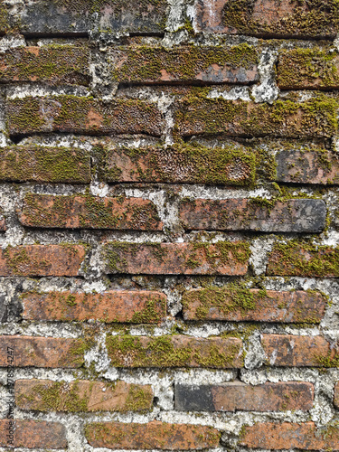 Принти на полотні vertical background of old mossy brick wall