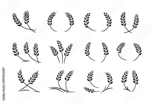 Wheats rye rice ears set icons design elements of organic agricultural food. Harvest wheat grain for beer logo, growth rice stalk and whole bread grains, barley field cereal nutritious - stock vector