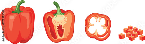 Red bell pepper set with whole, cut and slice pieces isolated on white background, fresh vegetable vector illustration for healthy food design