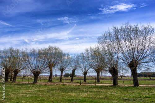 Wiosenny krajobraz wiejski, Podlasie, Polska