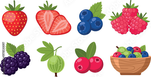 Mixed berries set isolated on white background, fresh strawberry, blueberry, raspberry, blackberry and gooseberry vector illustration collection for healthy food design
