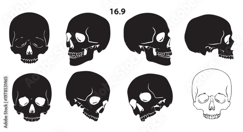 A collection of black and white skull illustrations in various orientations and styles on a plain background
