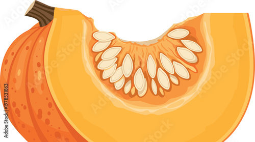 Pumpkin slice with seeds isolated on white background, bright orange autumn squash illustration for harvest, cooking and seasonal food design