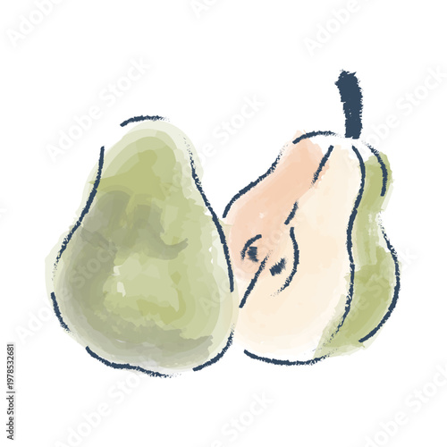Pear vector illustration in a watercolor style, hand-drawn pear clipart for design projects