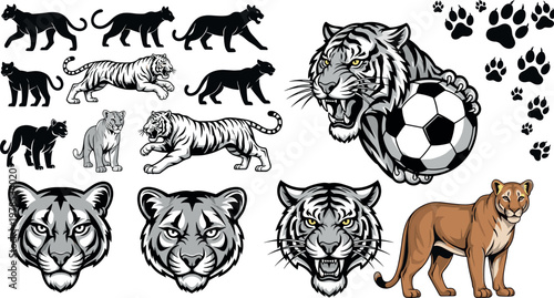 Tiger and big cat collection with mascot heads silhouettes paw prints and soccer logo vector illustration set