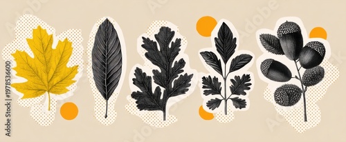 autumn leaves evoke nostalgia in a vintage halftone collage of nature sketches