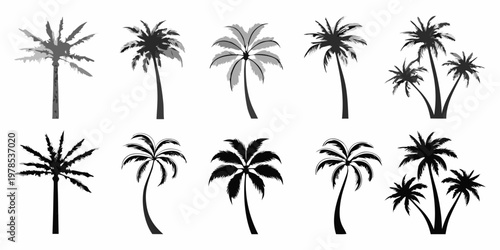 Collection of stylized palm tree silhouettes in varying shapes and sizes