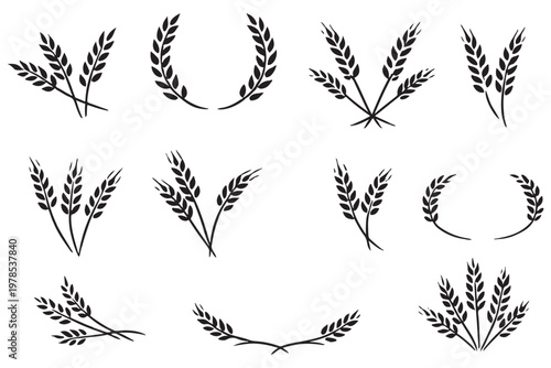 wheat ear. Cereal icon set, wheat ears icon vector, wheat, barley, oatmeal, flour, grain icon vector set. Harvest wheat grain, growth rice stalk and whole bread grains.