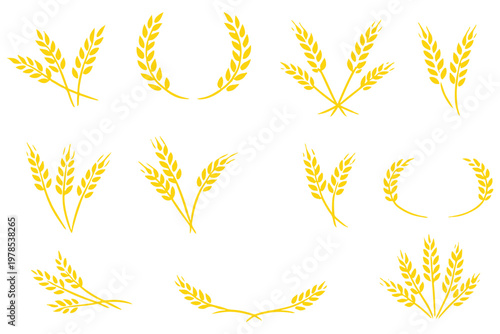 wheat ear. Cereal icon set, wheat ears icon vector, wheat, barley, oatmeal, flour, grain icon vector set. Harvest wheat grain, growth rice stalk and whole bread grains.