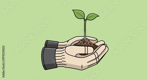 International Sunflower Growth Event in a Green Environment