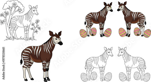 Okapi animal illustration set with realistic colored and outline versions paired with decorative eggs wildlife vector collection
