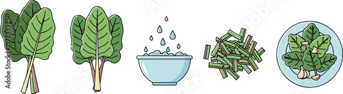 Swiss chard vegetable preparation set with washing chopping and cooking steps leafy greens food vector illustration collection