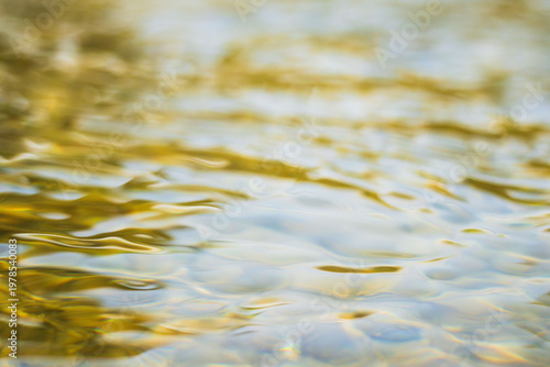 春の清流　揺らぐ水面をローアングル14