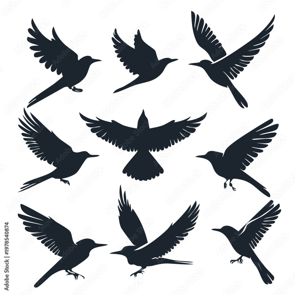 Fototapeta premium Collection of flying bird silhouettes isolated on white background with silhouette wildlife collection isolated illustration elements wingspan migration ornament creative blackwork creature