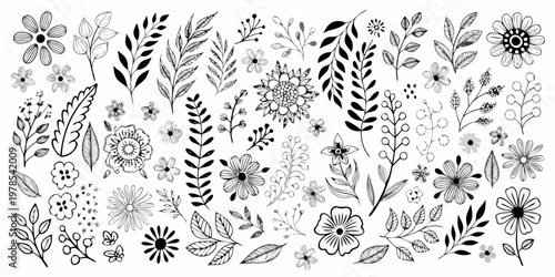 A collection of hand drawn floral and botanical illustrations in black and white