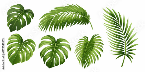 Collection of vibrant tropical leaves against a clean white background