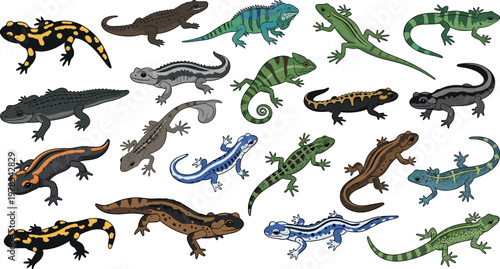 Obraz na płótnie Lizard and salamander vector set with diverse reptiles and amphibians, colorful