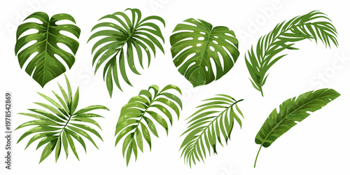 Collection of vibrant green tropical leaves isolated on a white background