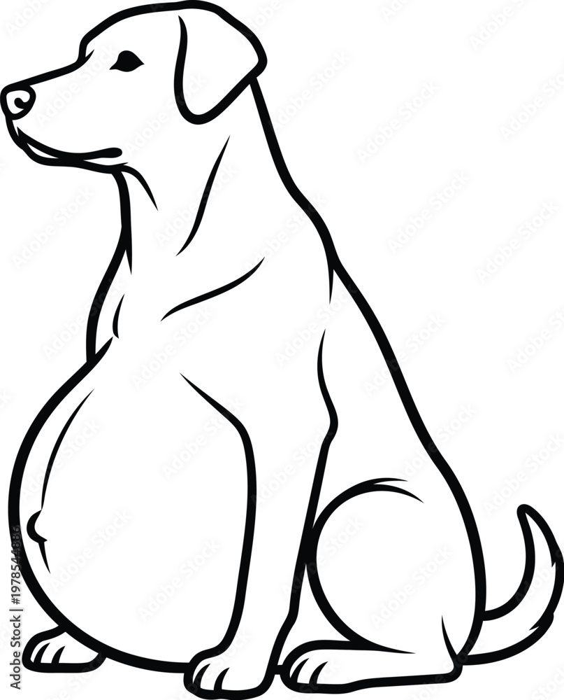 Obraz premium A sitting dog with its body facing left and tail curled around