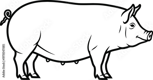 Illustration of a side view pig with a curly tail and four legs standing