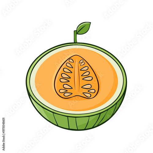Fresh cantaloupe melon sliced in half showing juicy orange flesh and seeds