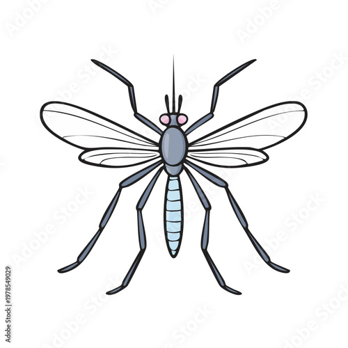 Detailed illustration of a mosquito with outstretched legs and wings