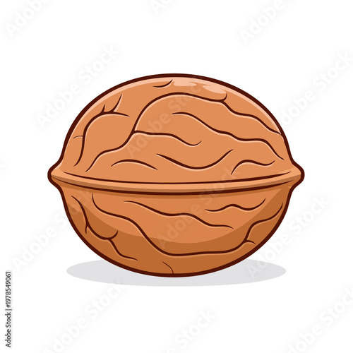 A whole, textured brown walnut with a split seam and grooved shell surface in a simple graphic illustration