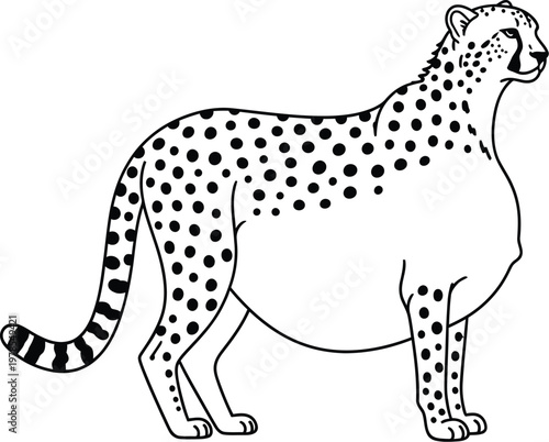 Cheetah standing in profile with distinctive black spots and tail