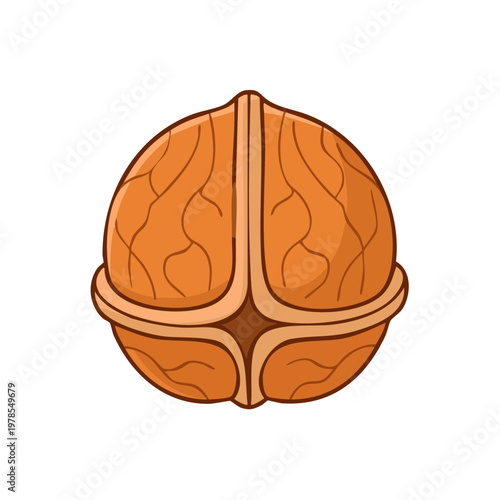 Illustration of a single whole walnut nut in its shell with visible lines and texture, depicted from a top-down perspective.