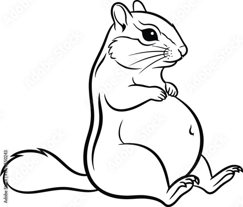 Sitting chipmunk looking to the side with a large belly