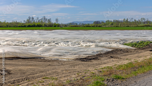 Geotextile Fabric Agriculture Mulch Farm Field Crop Protection