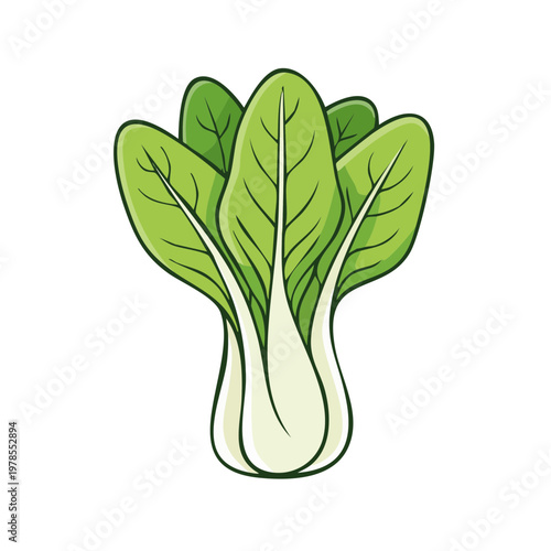 Fresh Bok Choy Vegetable Illustration Vibrant Green Leafy Asian Greens Healthy Food Icon