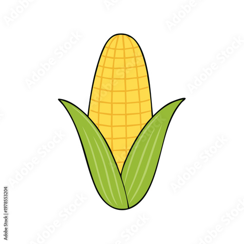 Vibrant illustration of a ripe ear of corn with green husks, a healthy and delicious vegetable