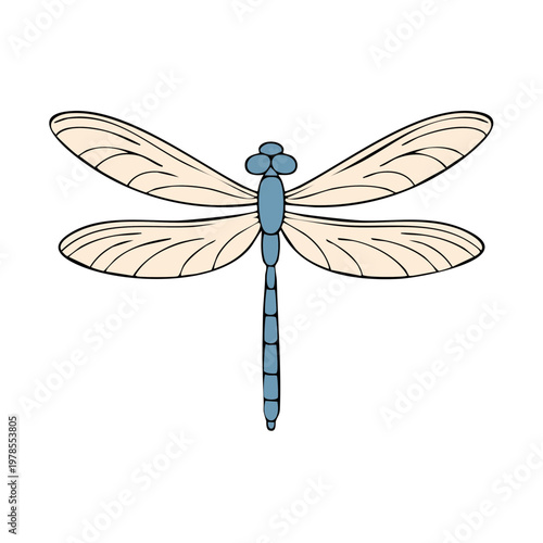 Delicate Blue Dragonfly with Translucent Wings Stylized Insect Illustration Vector Art